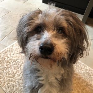 Meet your Posher, Alane